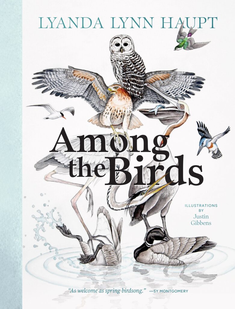 Among the Birds book cover